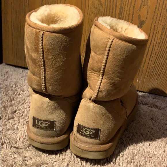 Chestnut Uggs - Picture 2 of 4